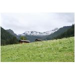 IMG_1210.JPG