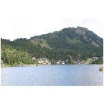 IMG_1274.JPG